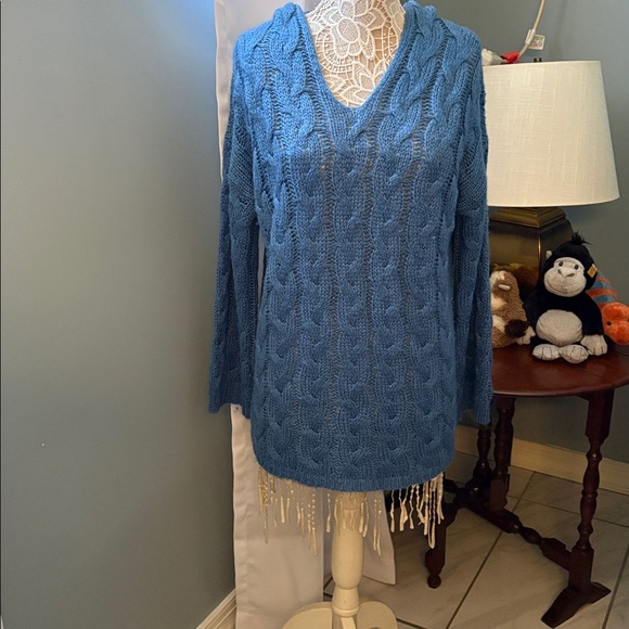 Unknown Sweaters - Blue Women's Hooded Sweater